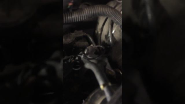 primer video ford escape 2005 codigo p0122 y echa esplociones смотреть онлайн