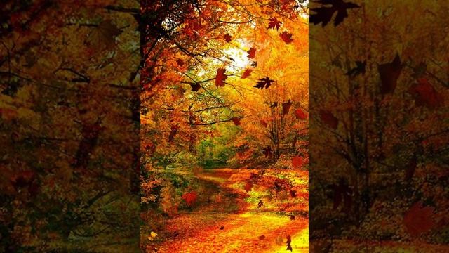 "О, Матерь Божья..." Стихи С. Есенина, музыка Т. Яров-Яровой. Исп. А. Богданов и автор. смотреть онлайн