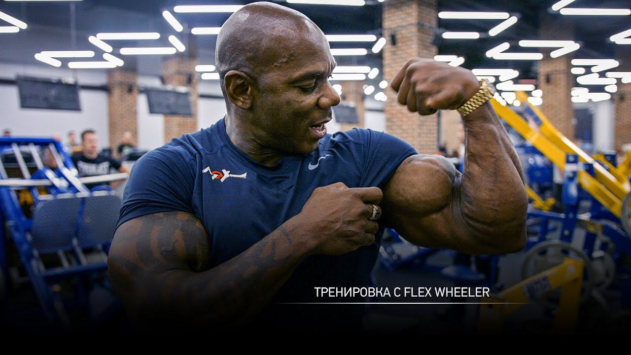 Тренировка с Flex Wheeler смотреть онлайн