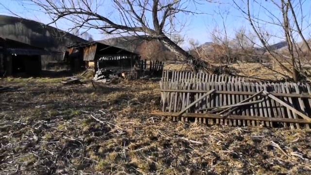 Папины кулинарные шедевры/ Алтайский край/ Мила Тевикова смотреть онлайн