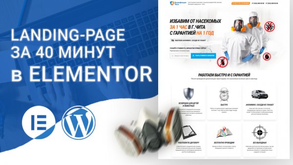 Продающий лендинг за 40 минут на Elementor Pro WordPress 2025
