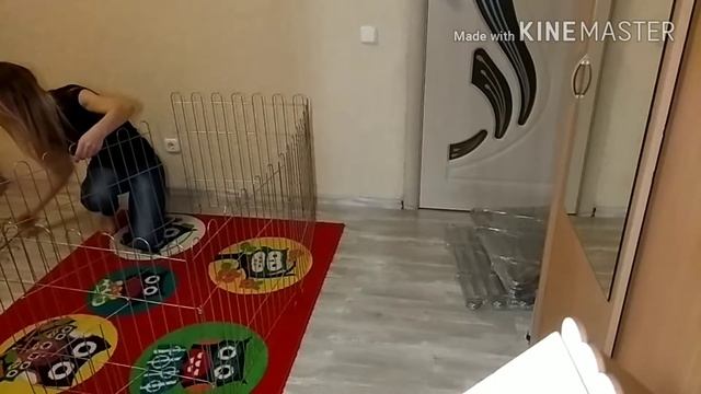 Как собрать вольер для щенка смотреть онлайн