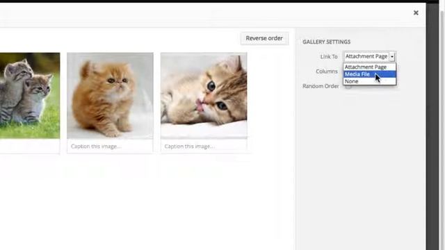 Wordpress Create an image gallery смотреть онлайн