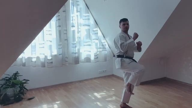 Каратэ для начинающих. Тренировки дома. Урок #9 смотреть онлайн