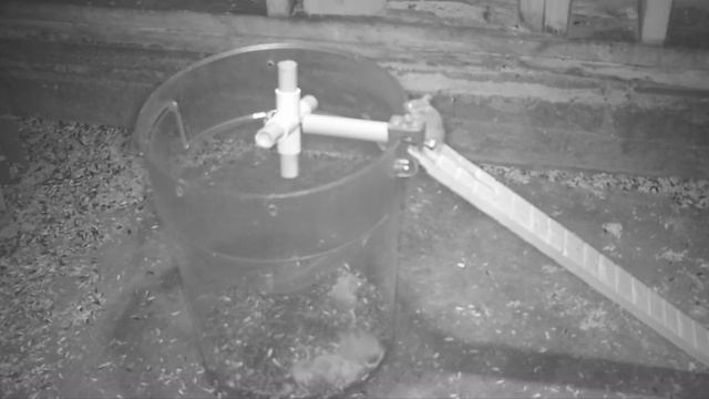 The Amazing Cartwheel Mouse Trap Gets The Job Done! Mousetrap Monday смотреть онлайн