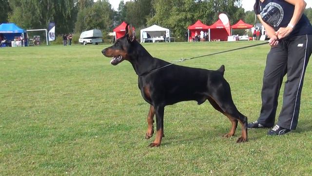 Pride Of Russia Konan