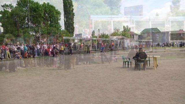 Дрессировка собак: показательные 2015 "Золотой легион" смотреть онлайн