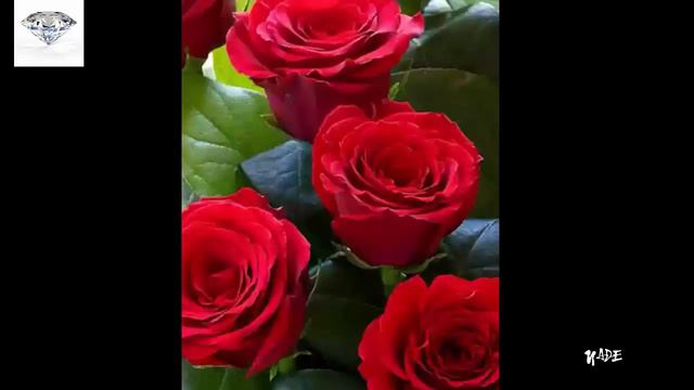 Gopala Govinda Rama, fantastic!!! - Relaxing-Deep Meditation Music смотреть онлайн