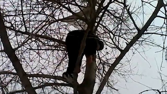 Чел повесился на дереве Fail 1 смотреть онлайн