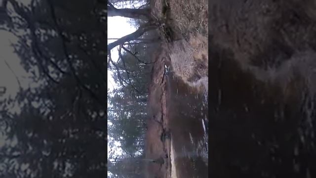 Пелла + Yamaha 5 смотреть онлайн