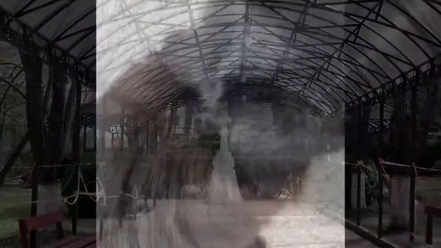 Кошки и коты Топловского женского монастыря 28.03.21. Крым. Crimea. Cats and cats. смотреть онлайн