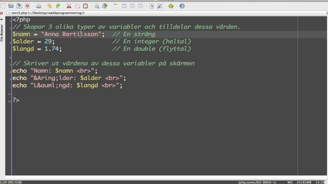 Introduktion till PHP смотреть онлайн