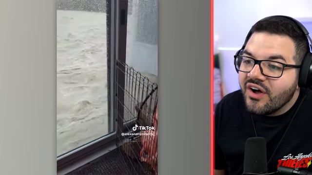 0IQ People On TikTok! смотреть онлайн