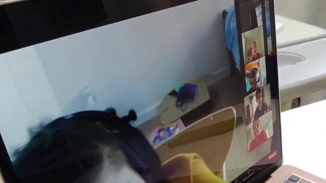 Онлайн-обучение в школе 