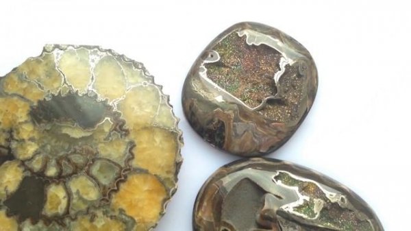 Аммонит и радужные симбирцитовые жеоды/Ammonite and rainbow simbircite fossil