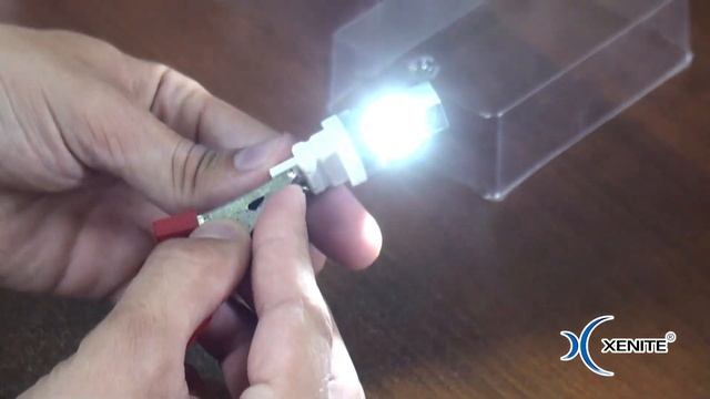 Светодиодные лампы Xenite CSP