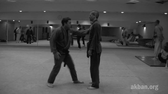 Tora o, Kukishin ryu Dakentaijutsu - Ninjutsu technique for Akban wiki смотреть онлайн