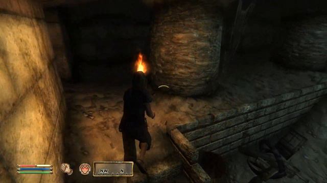 Oblivion Mod - Swearing Rats смотреть онлайн