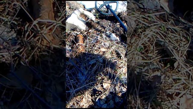 первые Находки! смотреть онлайн