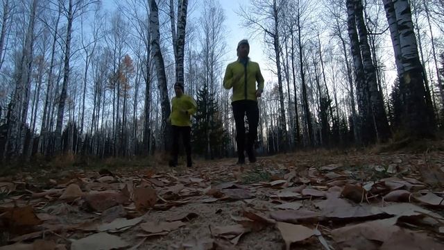 Подводящая беговая тренировка перед гонкой (часовой бег) смотреть онлайн