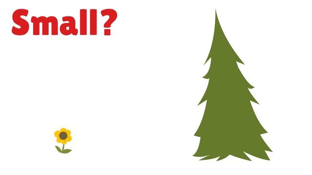 COMPARE SIZES With BIG And Small For KIDS! (OPPOSITE Words For TODDLERS)