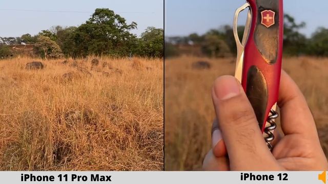 iPhone 12 vs iPhone 11 Pro Max Camera Comparison смотреть онлайн