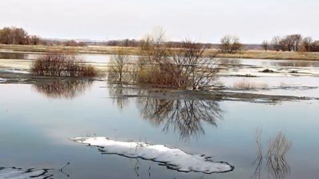 "МЫ ДОЛГО ШЛИ РЯДОМ ОДНОЙ ДОРОГОЙ"... (Фото Игоря Баранова (Рязань) - Поёт Александр Огнивцев) смотреть онлайн