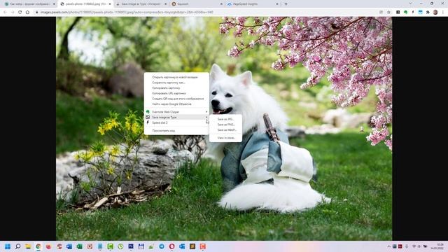 Как сохранить картинку в формате Webp на компьютер смотреть онлайн