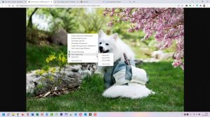 Как сохранить картинку в формате Webp на компьютер