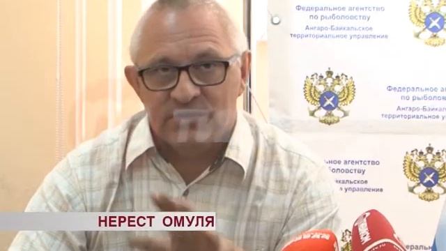 Защита Байкальского эндемика смотреть онлайн