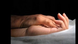 5ivesta family - зачем ей все шелка