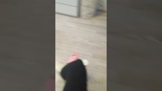 У меня др! 13 лет + миниобзор на подарки смотреть онлайн