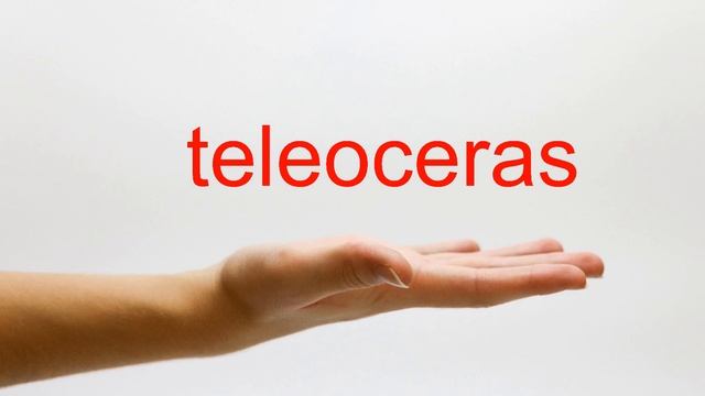 How to Pronounce teleoceras - American English смотреть онлайн