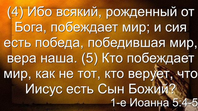 Вечернее богослужение 14 февраля 2024 г смотреть онлайн