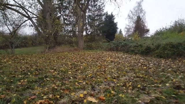 Моя Дача "Кролики" Германия смотреть онлайн