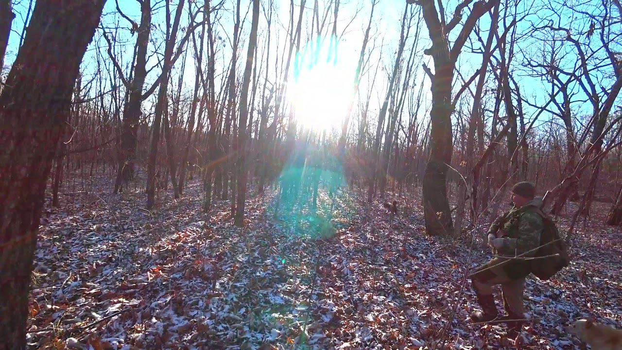 Охота на кабана! В гости на охоту. смотреть онлайн