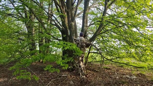 МОИ МЕСТА ДЛЯ УСТАНОВКИ ЛОВУШЕК. ЛОВЛЯ РОЁВ 2023. ГОД БУДЕТ ЖАРКИМ.