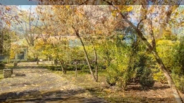 Славянск осенний 30.10.2023