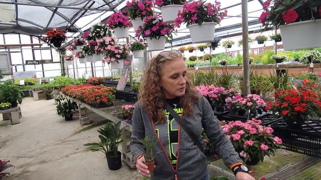 Plant Shopping Galore!!!!!!