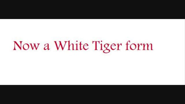 Perfect World. Race Untamed, Class Barbarian. and white tiger form смотреть онлайн