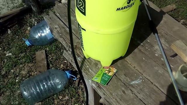 Калипсо против аленки мохнатой. смотреть онлайн