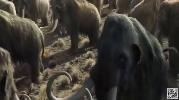 10000 bc Full movie free__New hollywood movie__New Action Movie__10000 bc hindi dubbed Movie