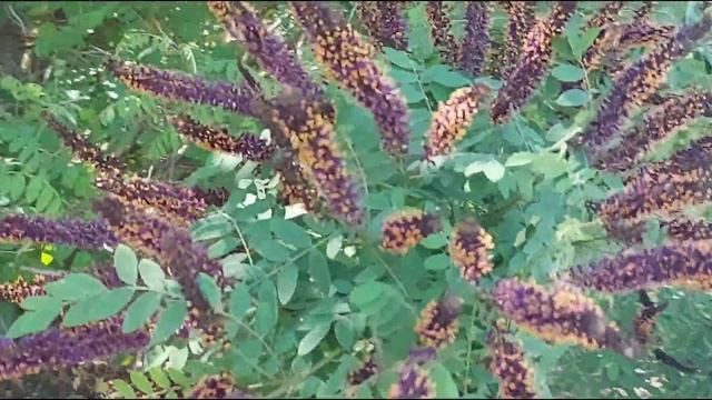 /Яна/поездка/водохранилище/лето/Маргарет нашлась/природа/спасение/падение/я вас? смотреть онлайн
