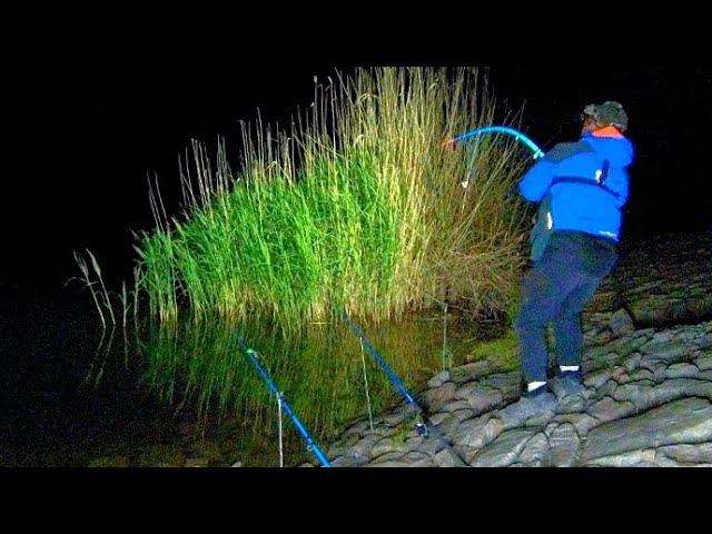 РЫБАЛКА НА СОМА!!! СОМ. САЗАН НА ДОНКИ КРОКОДИЛ! РЫБАЛКА С НОЧËВКОЙ! смотреть онлайн