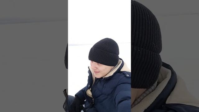 на собаке в деревню смотреть онлайн