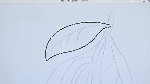 Import a hand-drawn sketch or other imagery to trace over in Adobe Illustrator. смотреть онлайн