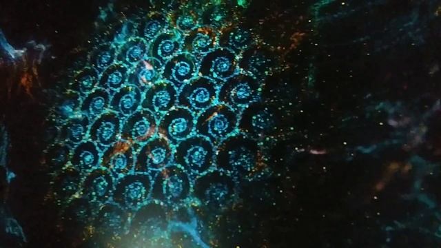 Презентация Катара в парке Горького. Красный КУБ смотреть онлайн