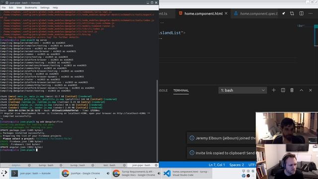 Live Coding! Animal Crossing: New Horizons Turnip Exchange with Angular смотреть онлайн