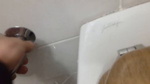 Как заменить настенный гигиенический душь