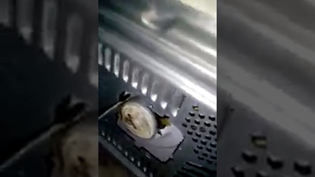 Меняем моторчик тарелки микроволновки своими руками смотреть онлайн